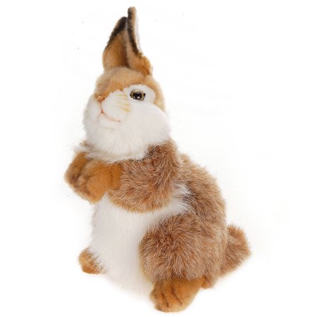 Caramel Thumper Rabbit Plush Toy