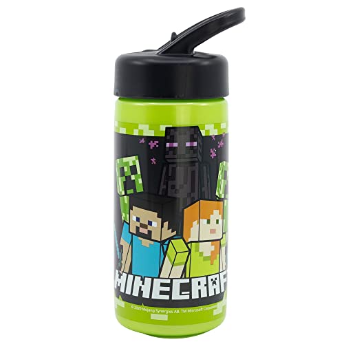 Botella Playground 410ml - Minecraft